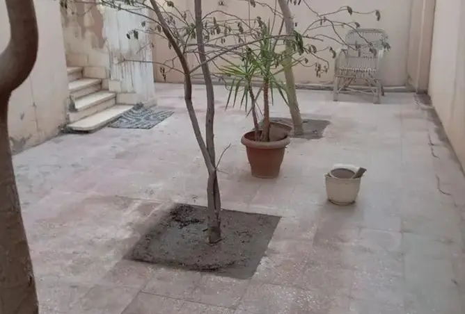 119850489 - صورة العقار 3