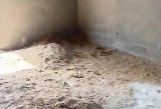 66166726 - Property Main Image