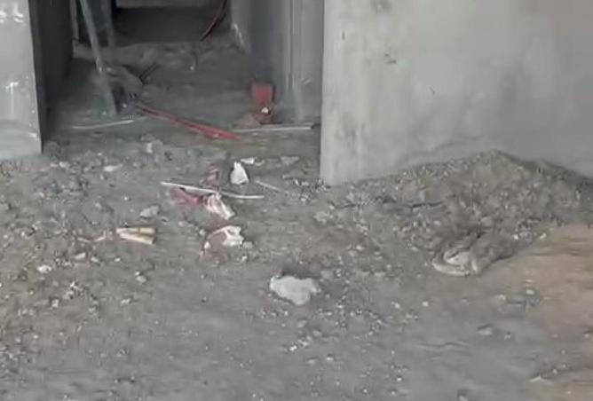 66166726 - Property Image 3