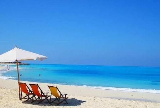 84773251 - صورة العقار 2