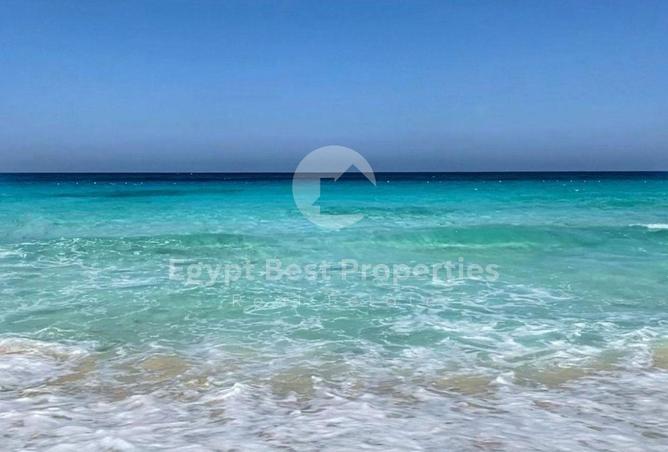 103761491 - Property Image 3