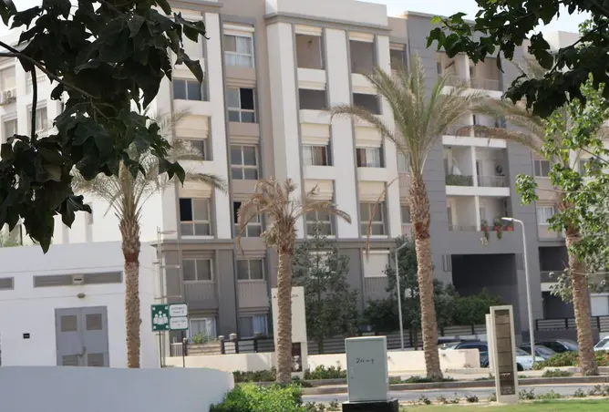 116747230 - صورة العقار 3