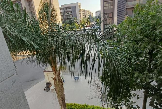 97150726 - الصورة الرئيسية للعقار