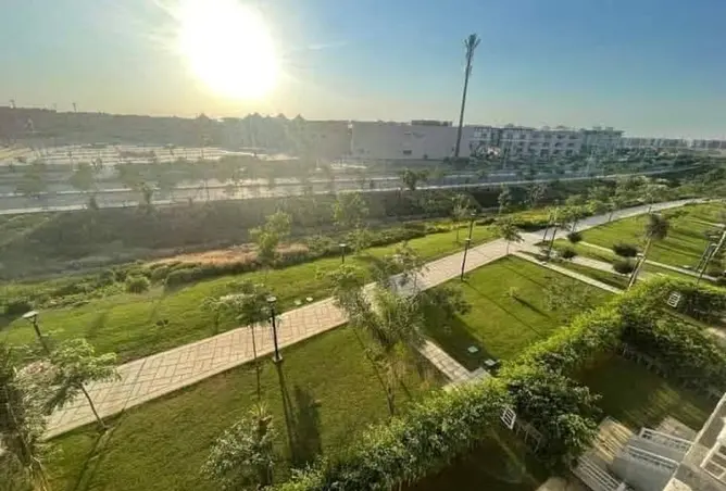 111607457 - Property Image 3
