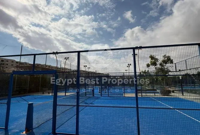 116495542 - Property Image 3