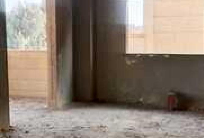 64639437 - Property Image 3