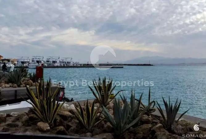 113521748 - صورة العقار 2