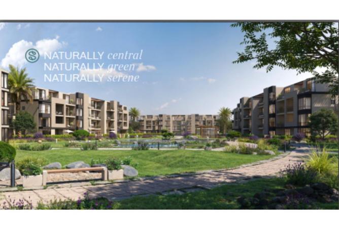 8688691 - Property Image 3