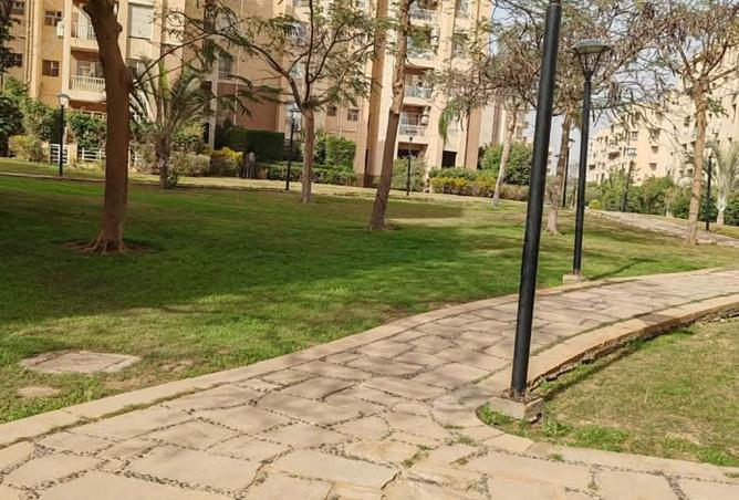 97996652 - صورة العقار 3
