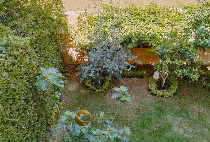 72445539 - Property Image 3