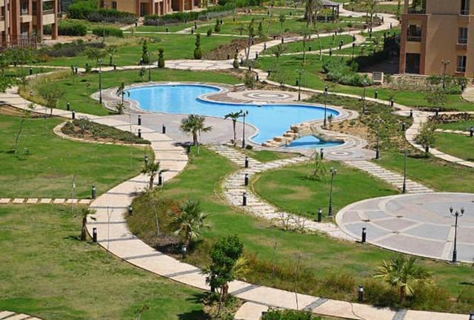 55507491 - Property Image 3