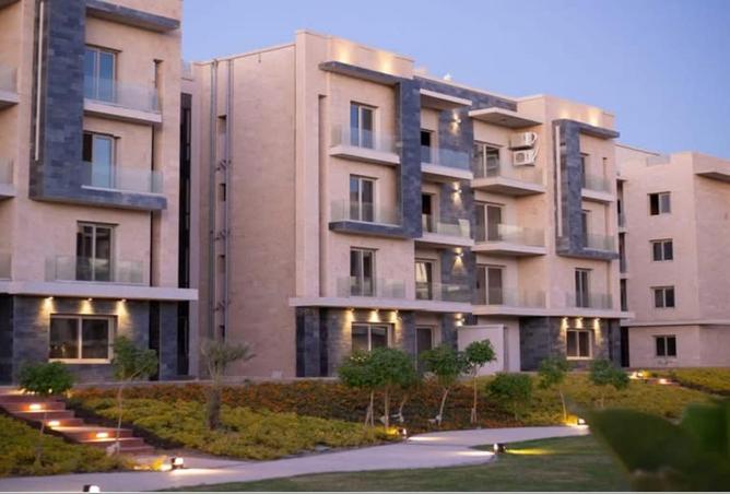 54749509 - Property Image 3