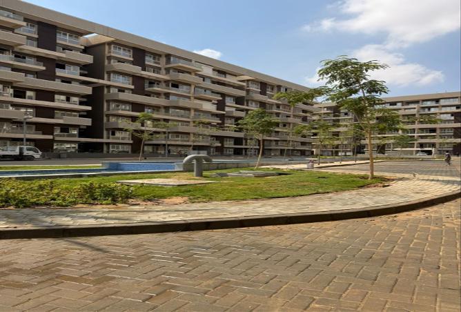 53226989 - صورة العقار 2