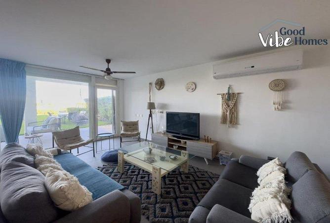66697426 - Property Image 3