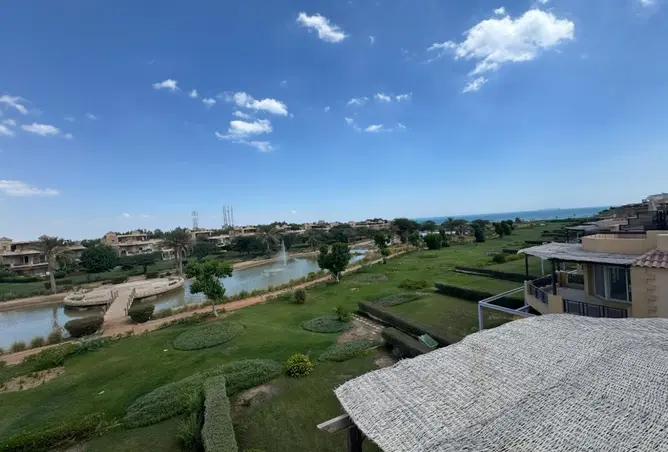 113545531 - صورة العقار 3