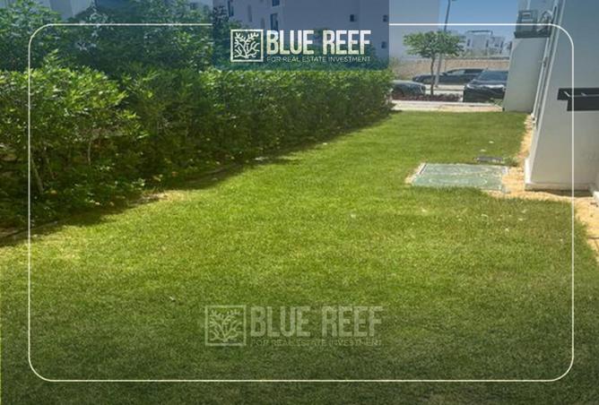 70371561 - Property Image 3