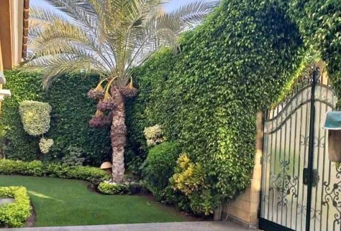 103874583 - صورة العقار 2