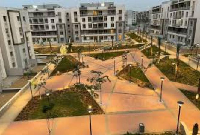 66435216 - صورة العقار 3