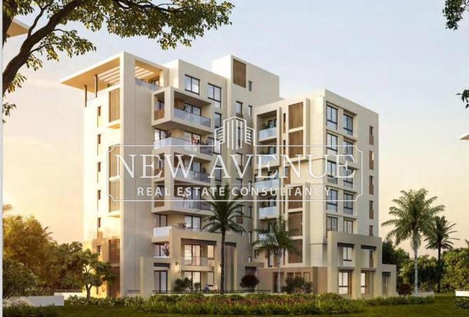 65150763 - صورة العقار 2