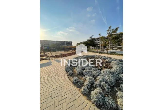 116226690 - Property Image 3