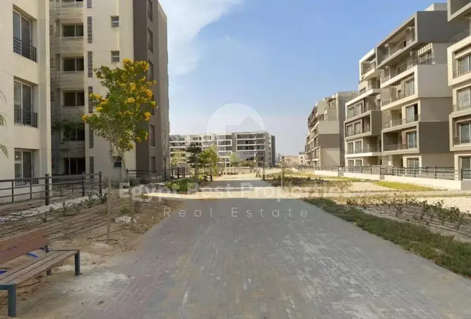 120203257 - Property Image 3