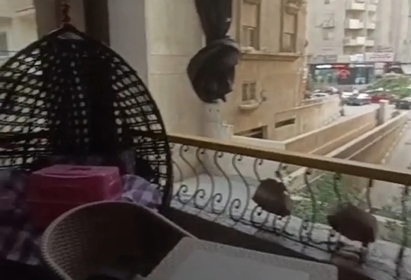 121405080 - الصورة الرئيسية للعقار