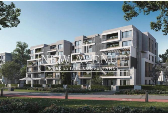 66421784 - Property Image 3