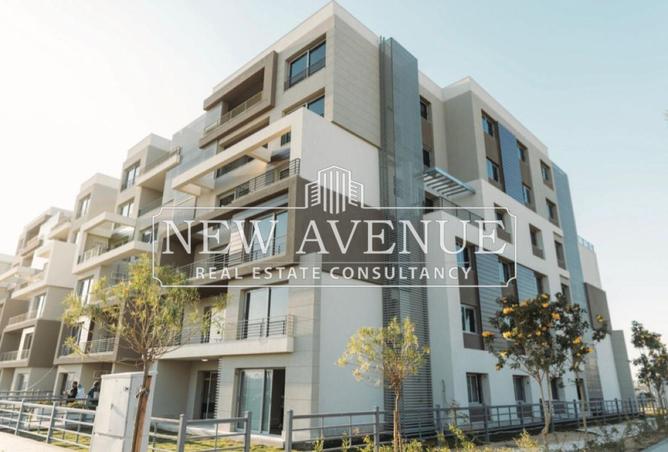 66421784 - Property Image 2