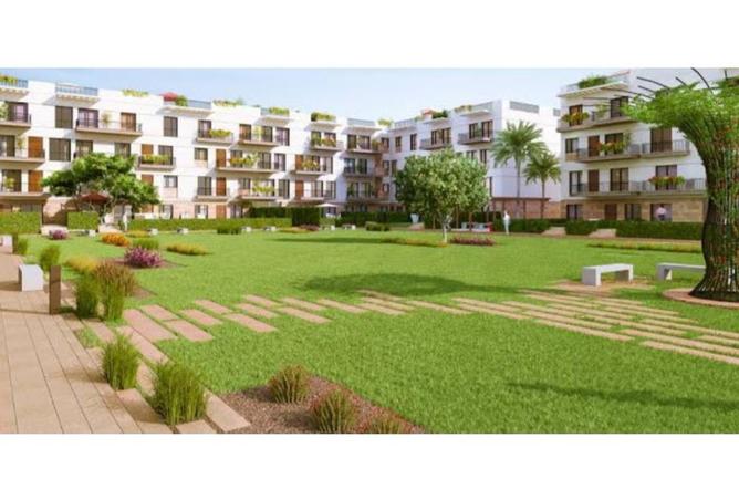 8520444 - Property Image 2