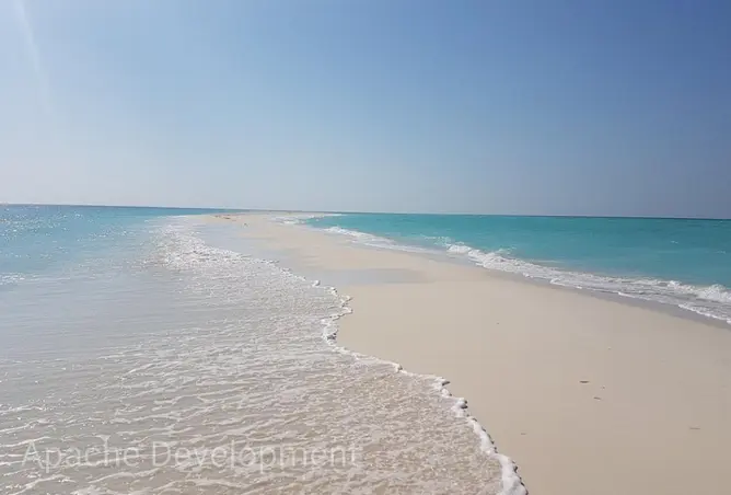 119322836 - صورة العقار 3