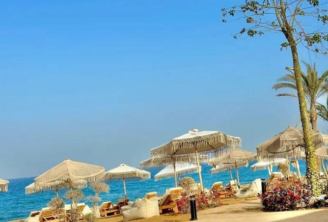 77609535 - صورة العقار 3