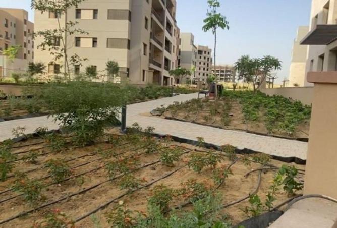 54497524 - Property Image 2