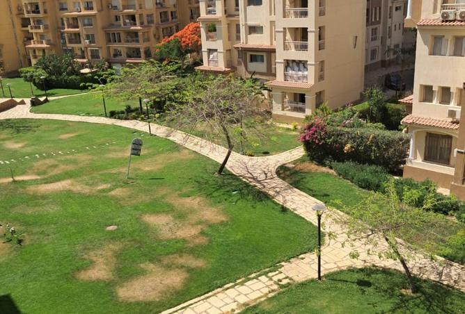 79999195 - صورة العقار 3