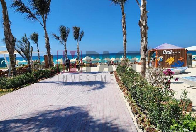 67736750 - صورة العقار 2