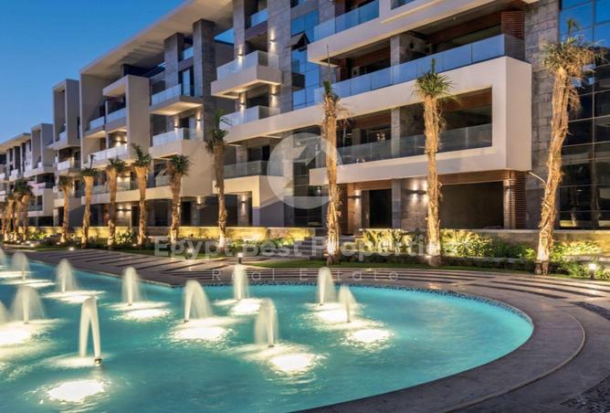 8703446 - Property Image 3