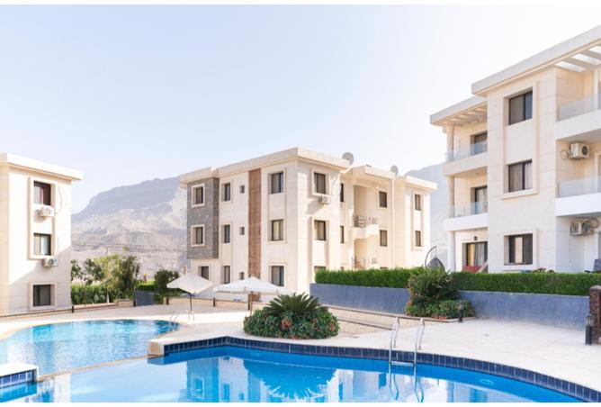 8488165 - Property Image 2