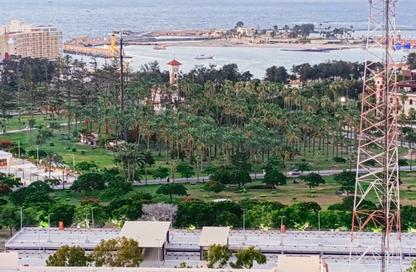 Apartment - 2 Bedrooms - 2 Bathrooms for sale in El Montazah - Hay Than El Montazah - Alexandria