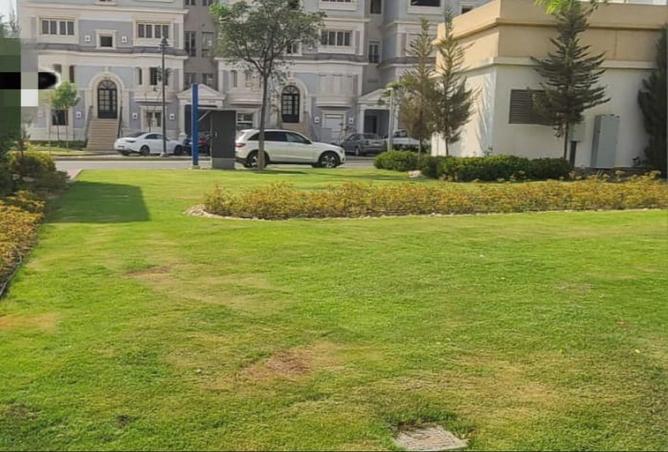 58241444 - صورة العقار 3