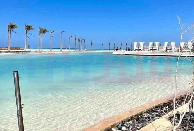 67475365 - صورة العقار 3