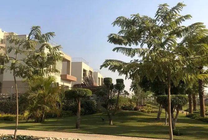 114350434 - صورة العقار 2