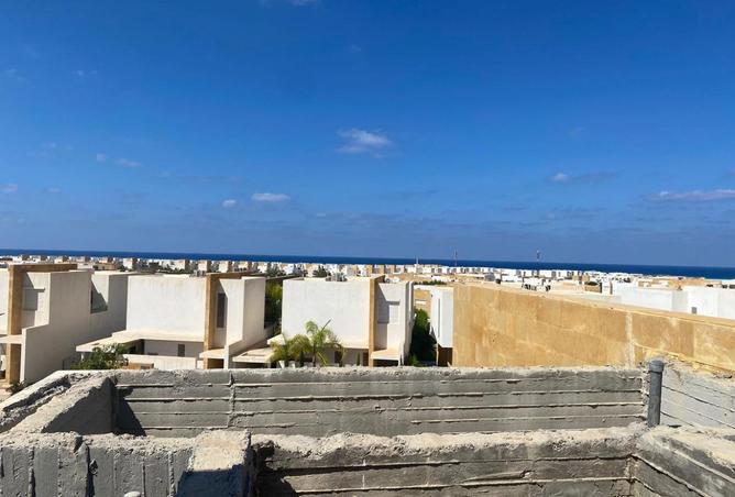 62885566 - Property Image 3