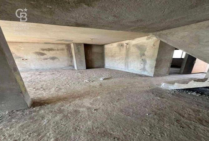 54758336 - Property Image 3