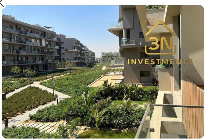 59493266 - صورة العقار 3