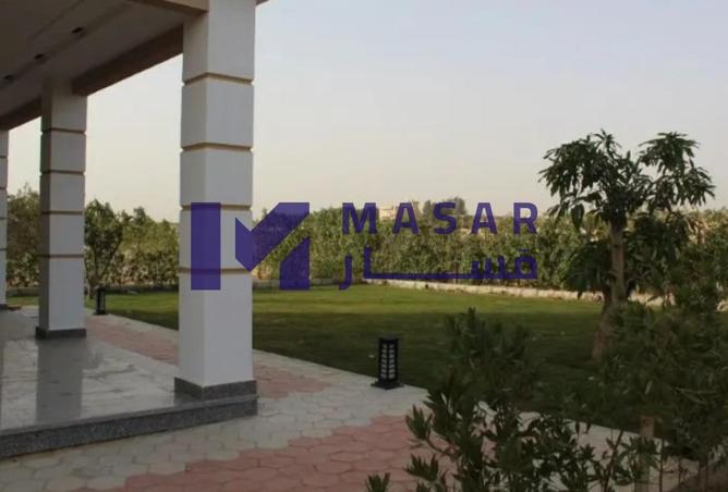 82609665 - صورة العقار 2