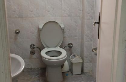 Factory - Studio - 2 for rent in Badr Industrial Zone - Badr City - Cairo