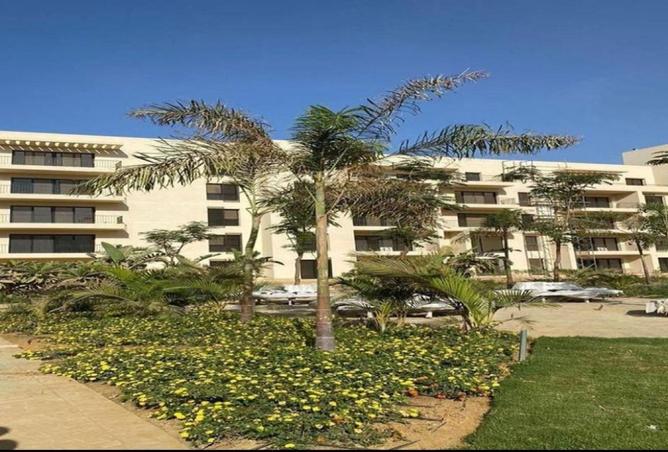 58745824 - صورة العقار 3