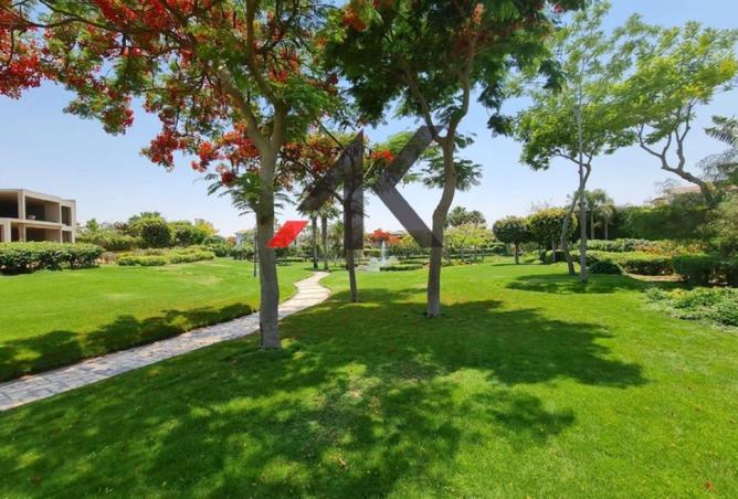 58982102 - Property Image 3