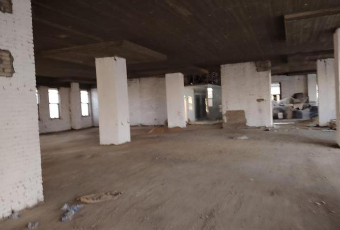 52723996 - صورة العقار 3