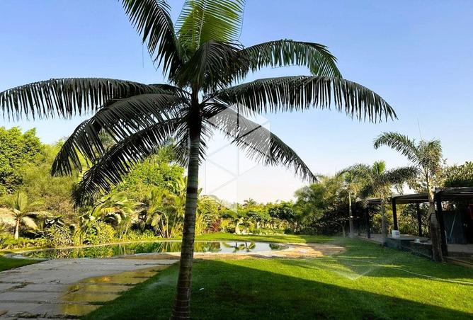 8571860 - Property Image 2