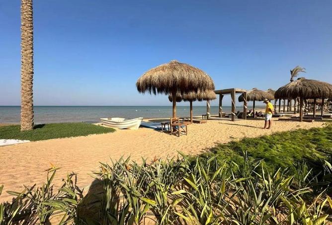 58988497 - صورة العقار 3